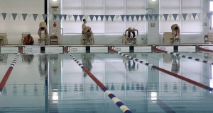 חוג שחייה | שחייה טיפולית | קורס שחייה למבוגרים – שיעורי שחייה למבוגרים